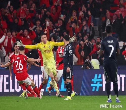 阿根廷荣耀,大马丁,战辉煌,金年会体育,在线体育博彩,实时投注,体育赛事,高赔率平台